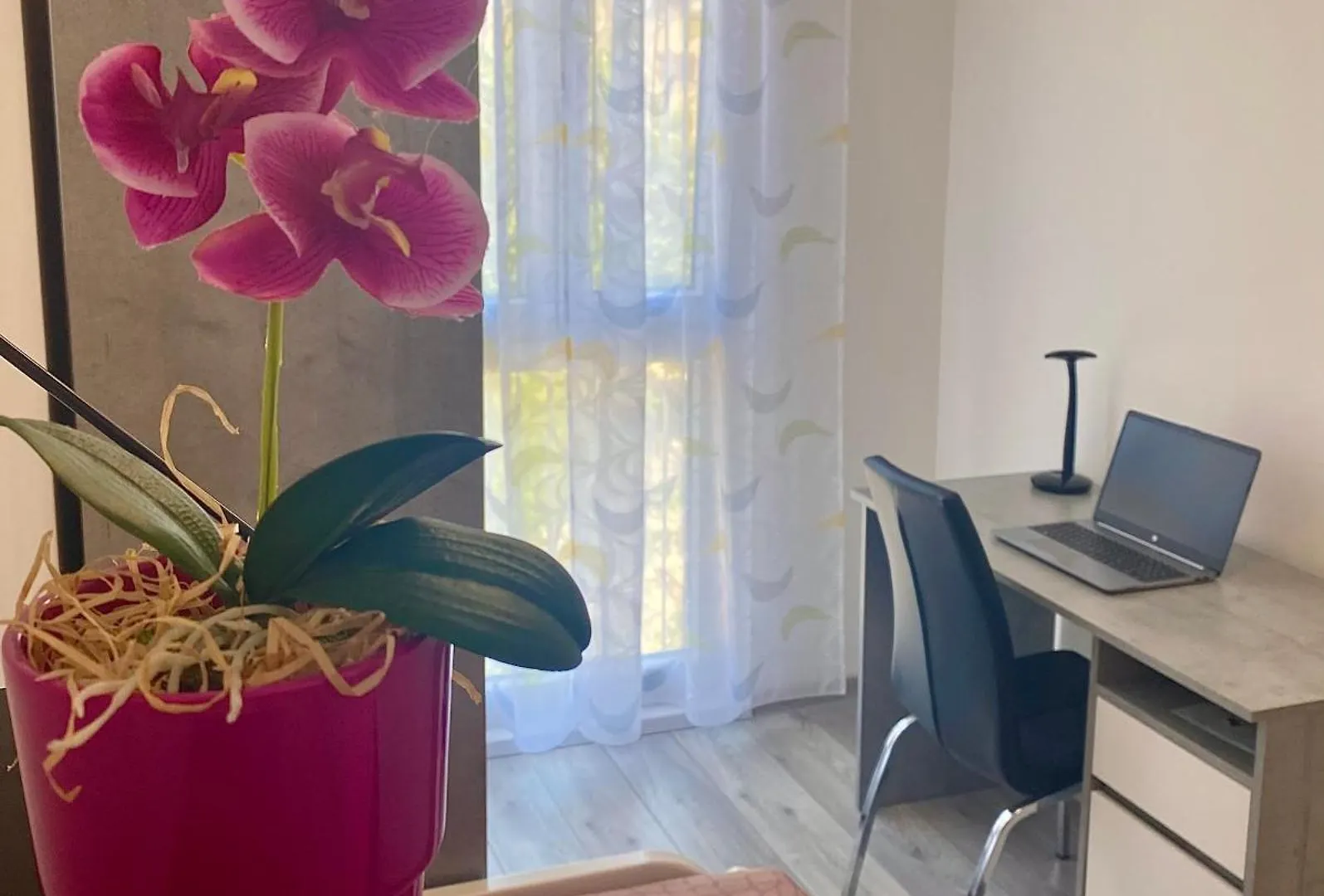 Ema Apartment Pula Kroatien
